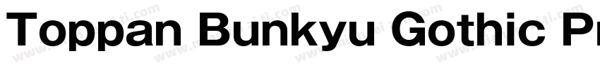 Toppan Bunkyu Gothic Pr6N字体转换